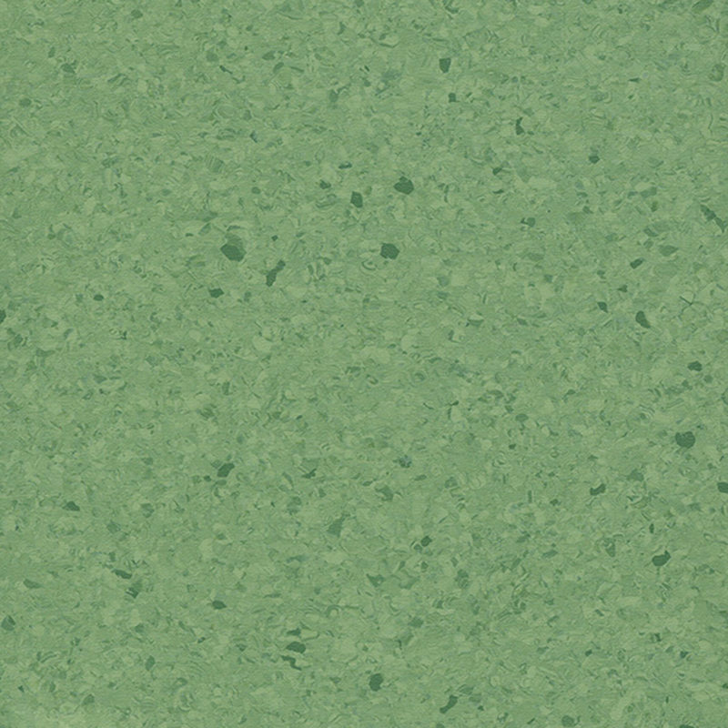 Sàn đồng nhất nhiều màu