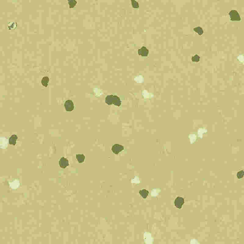 Sàn cao su chống trầy xước và có độ đàn hồi cao