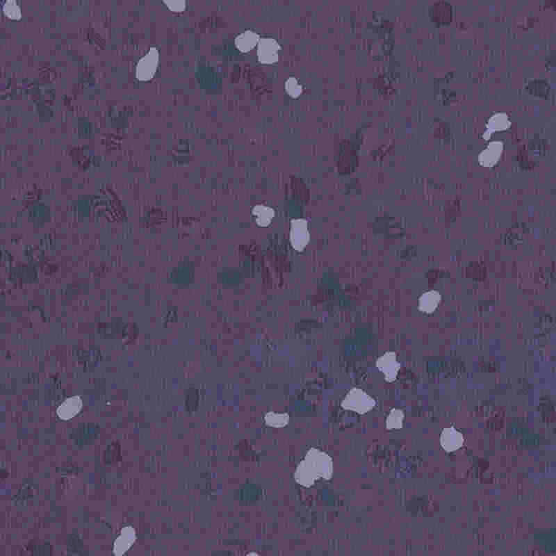 Sàn cao su chống trầy xước và có độ đàn hồi cao