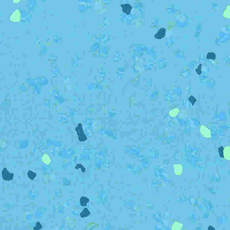 Sàn cao su chống trầy xước và có độ đàn hồi cao