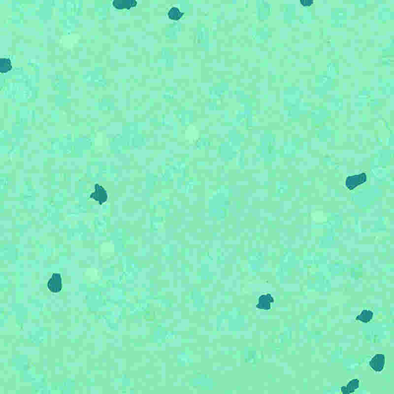 Sàn cao su chống trầy xước và có độ đàn hồi cao