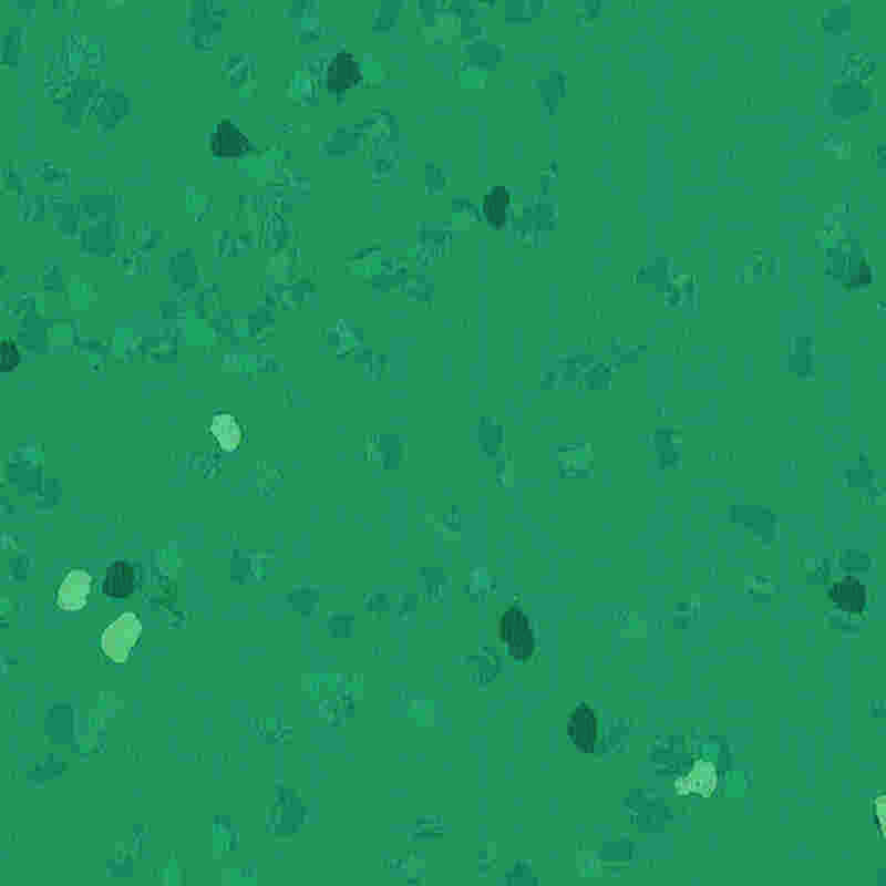 Sàn cao su chống trầy xước và có độ đàn hồi cao