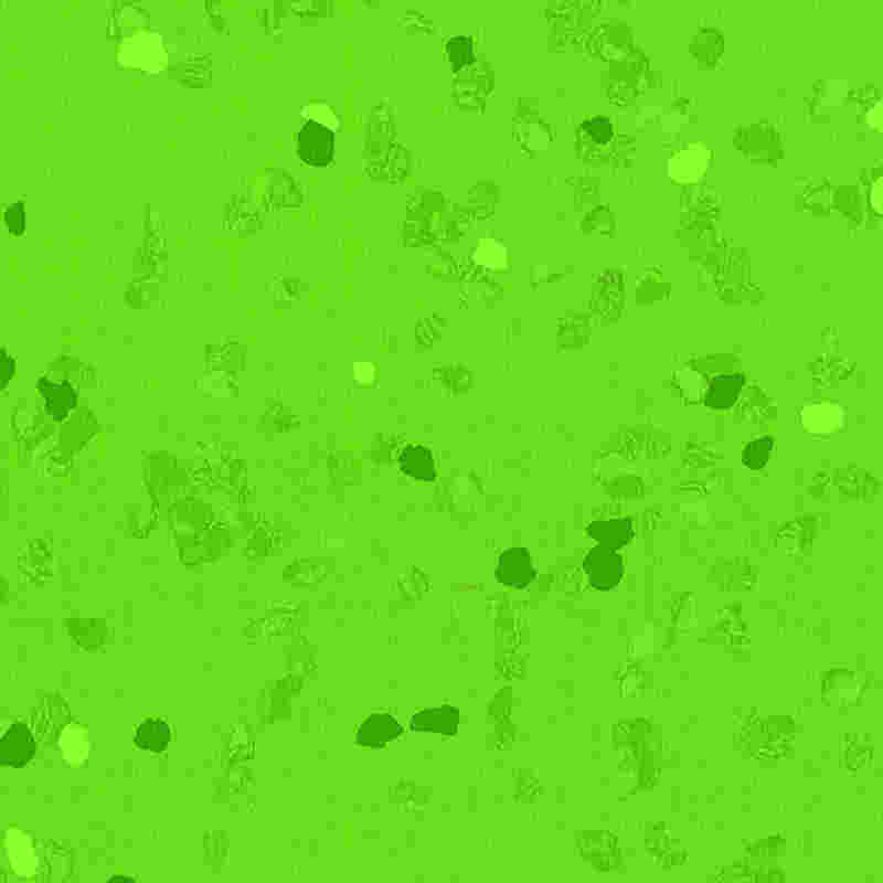 Sàn cao su chống trầy xước và có độ đàn hồi cao