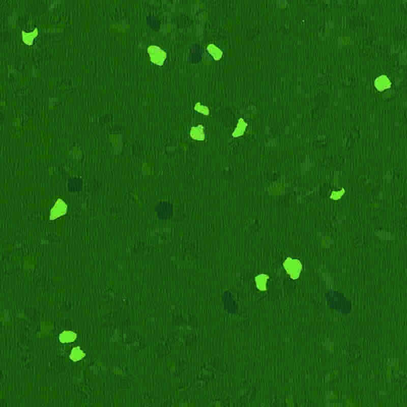 Sàn cao su chống trầy xước và có độ đàn hồi cao