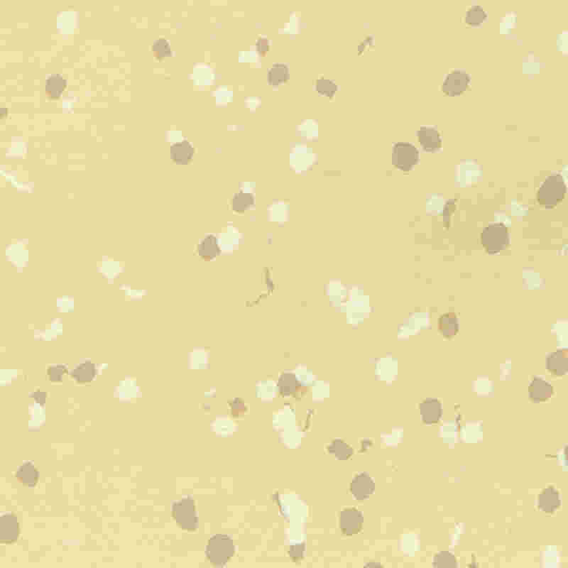 Sàn nhựa & cao su chống cháy, chống nước