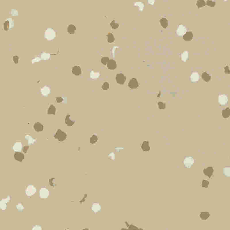 Sàn nhựa & cao su chống cháy, chống nước