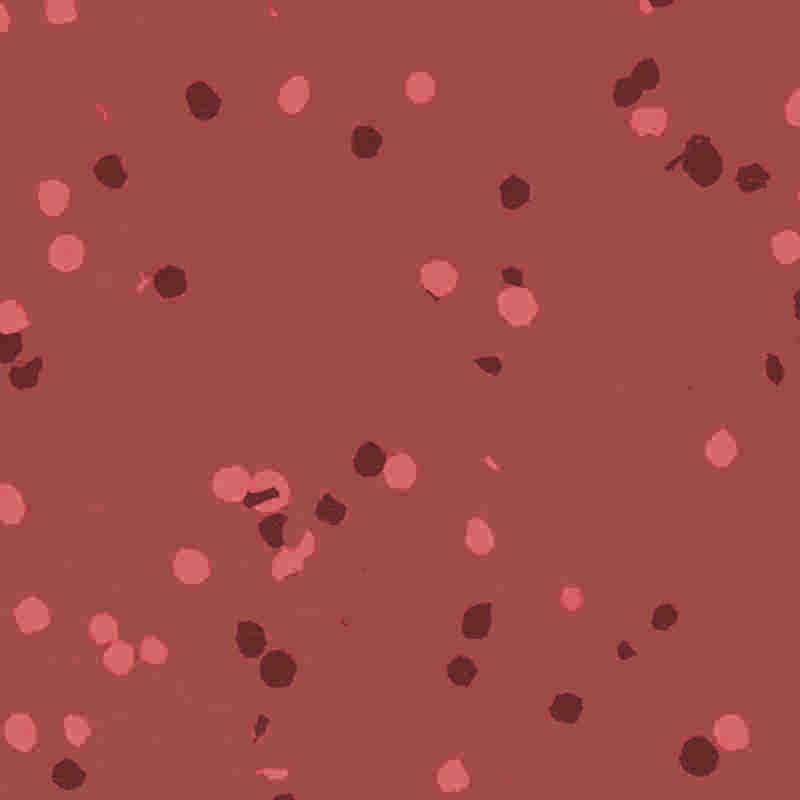 Sàn nhựa & cao su chống cháy, chống nước