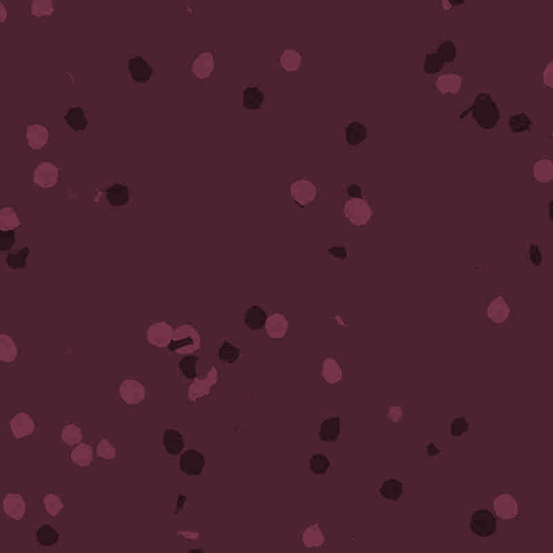 Sàn nhựa & cao su chống cháy, chống nước