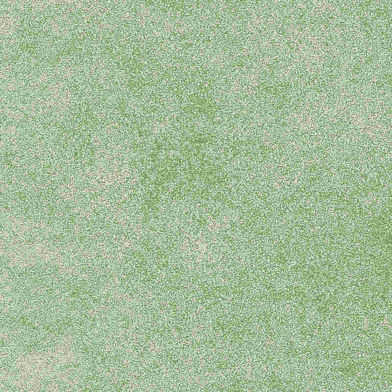 Lắp ráp gạch vinyl sang trọng sang trọng