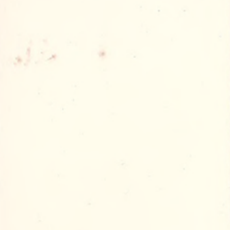 Khả năng thích ứng cao và sàn cao su liền mạch