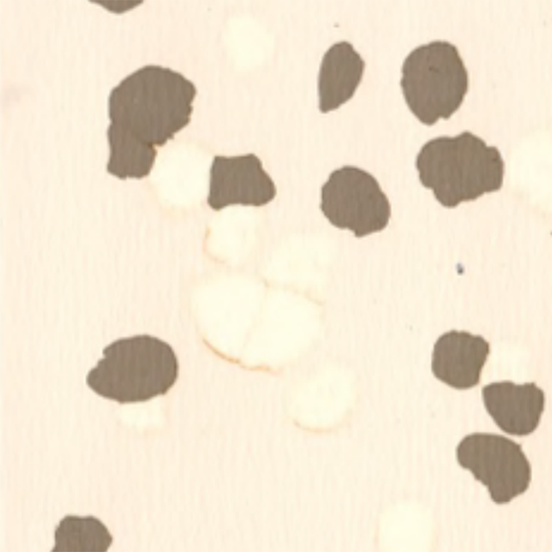 Sàn cao su chống trượt và chống trầy xước