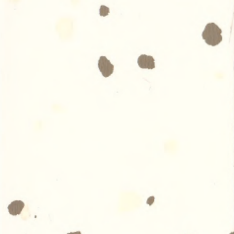 Sàn cao su môi trường