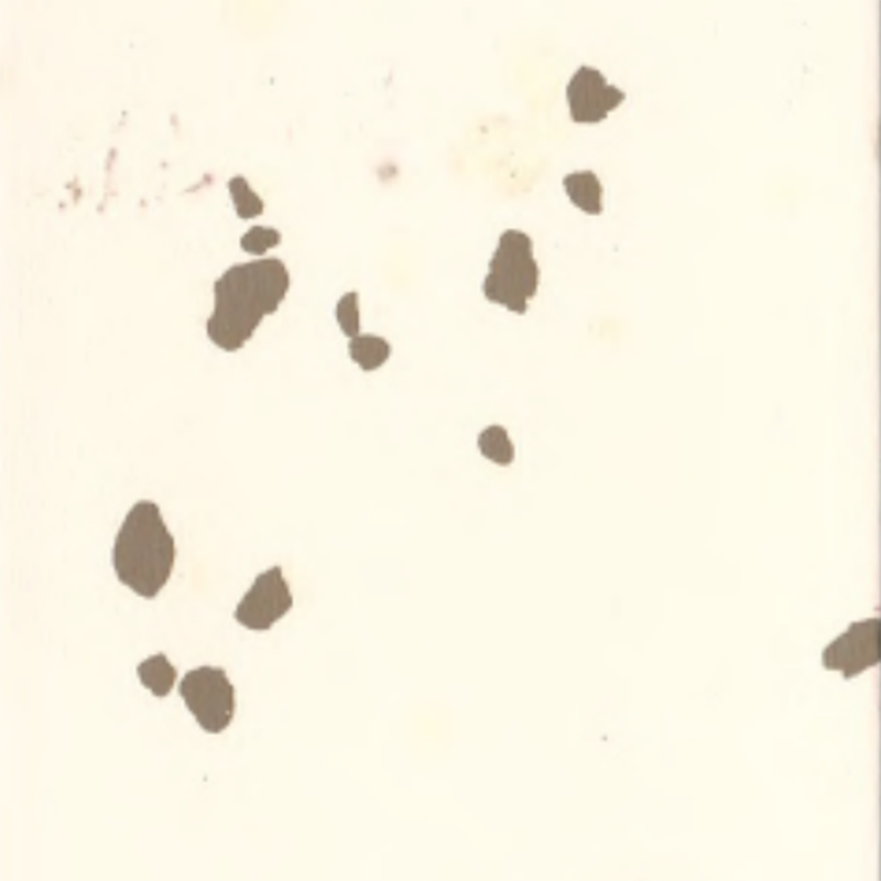 Sàn cao su môi trường